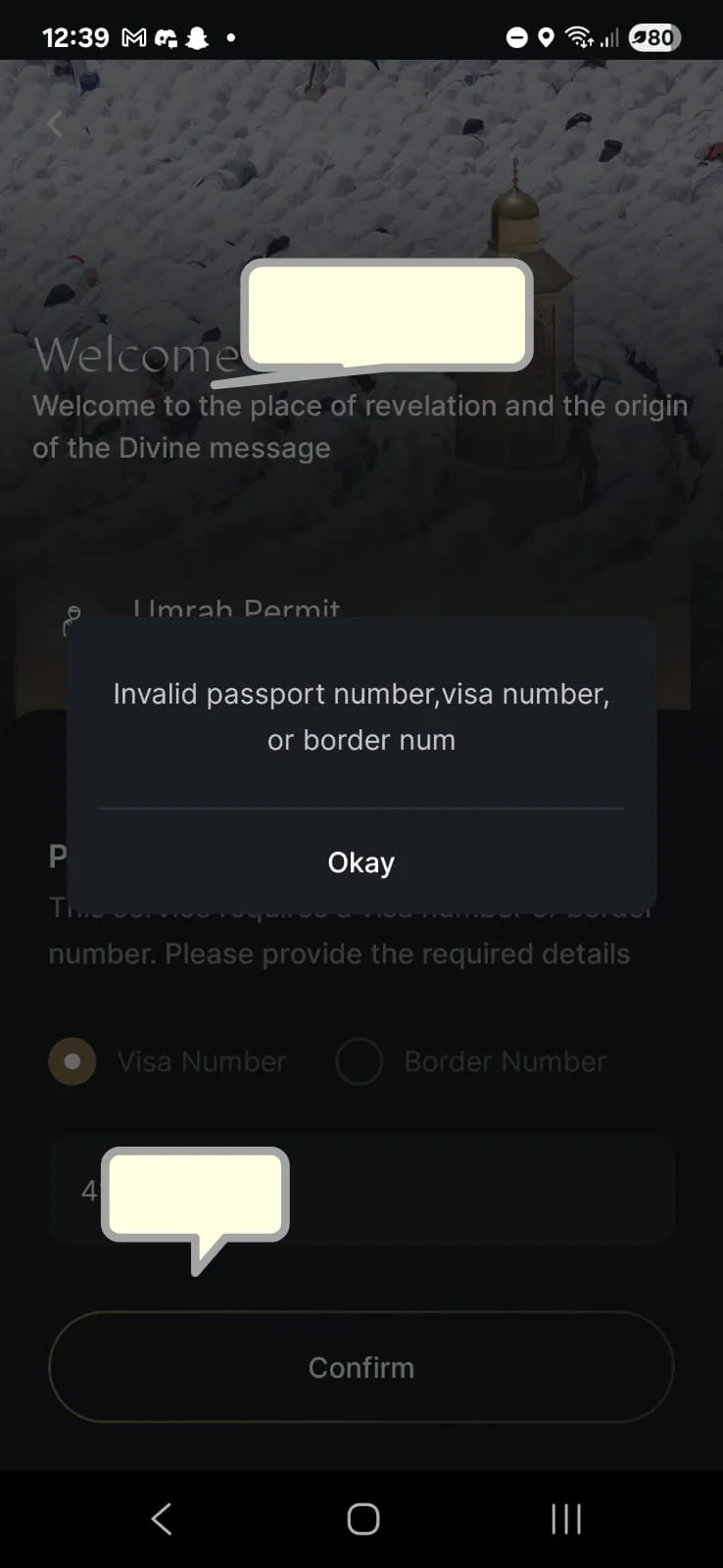 invalid visa or border number